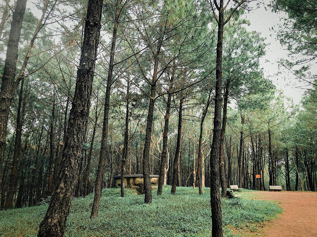 Honor Bunker Hill’s legacy with reverence